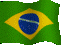 br-flag1-ss[1].gif